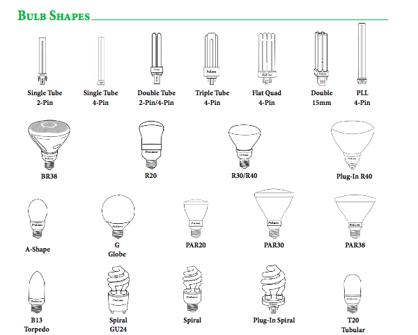 Bulb Shapes