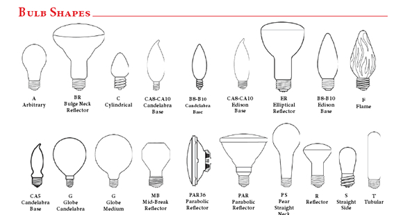 Bulb Shapes