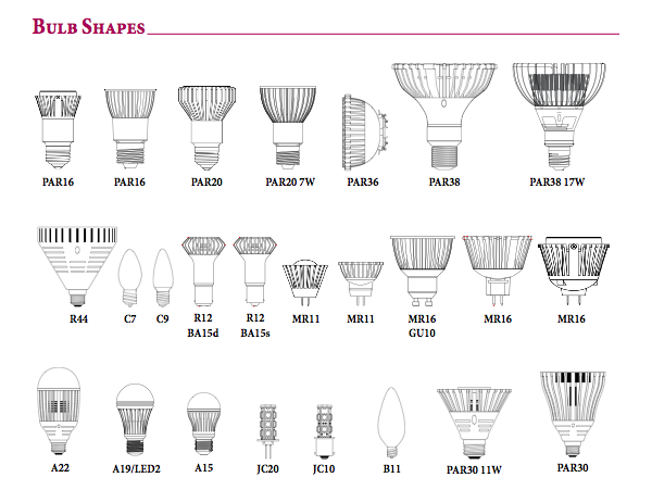 web Diktat frivillig Bulbs Identification Guide